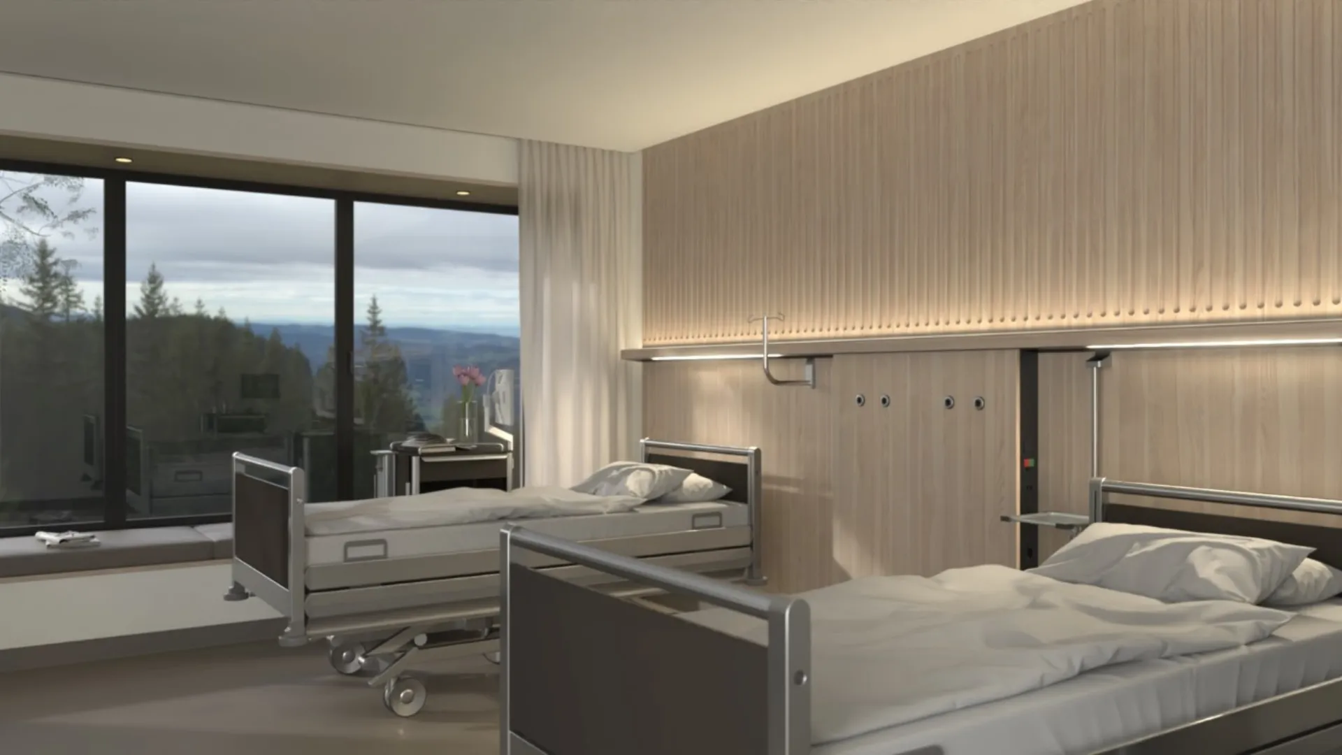 Two empty hospital beds in a bright room with a large window and a view of forested hills
